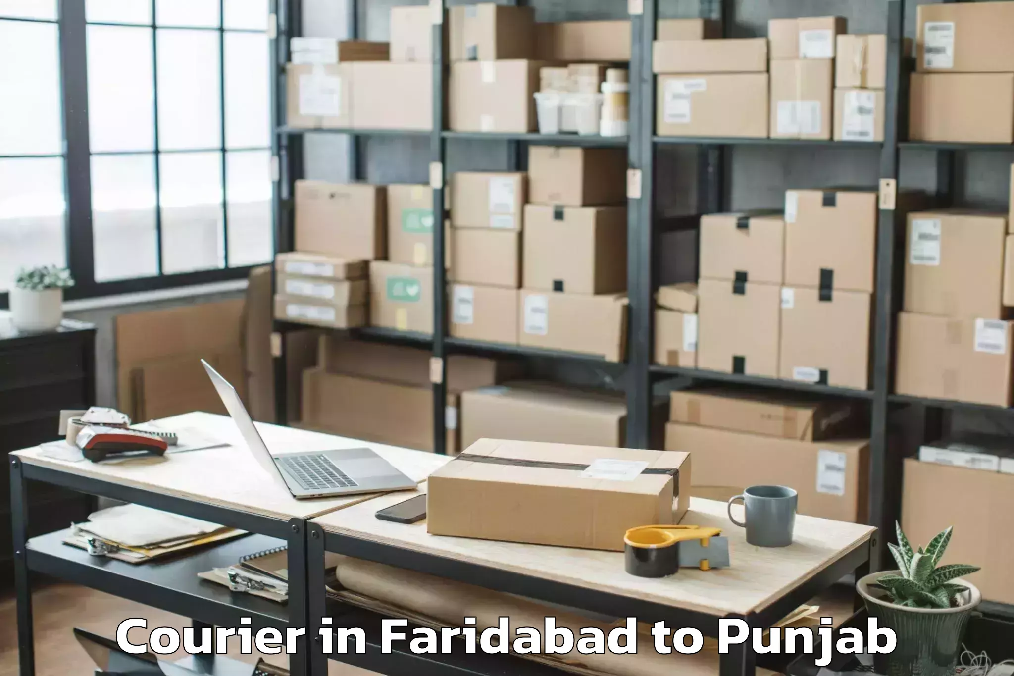 Book Faridabad to Bassi Pathana Courier